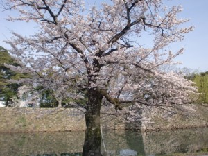 2009_0628_225304-cimg64751