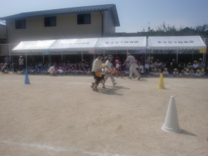 2012_0913_105343-cimg7215