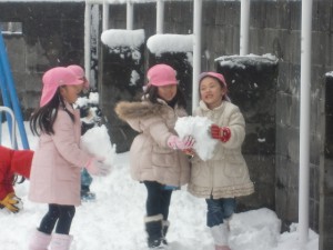 2013_0208_125640-cimg8033