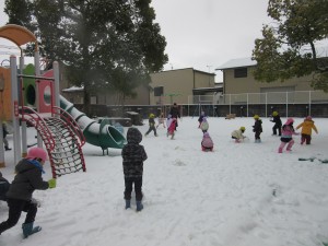 IMG_3291